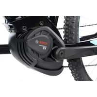 Obraz % s -SIRMIUM PRO DEORE 10