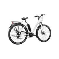 Obraz % s -REPTILA 800 ALTUS 7