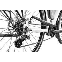 Bild 3/4 - REPTILA 800 ALTUS 7