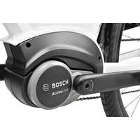 Bild 4/4 - REPTILA 800 ALTUS 7