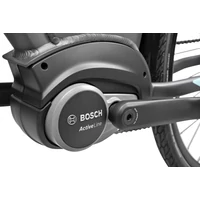 Picture 6/6 -REPTILA 1000 ALTUS 7