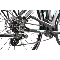 Picture 5/6 -REPTILA 1000 ALTUS 7
