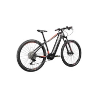Obraz % s -RUGA PRO DEORE 12