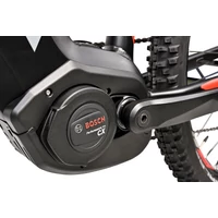 Obraz % s -RUGA PRO DEORE 12