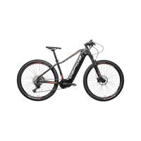 Obraz % s -RUGA PRO DEORE 12