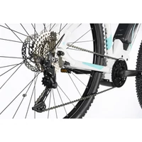 Bild 4/6 - SIRMIUM PRO DEORE 10