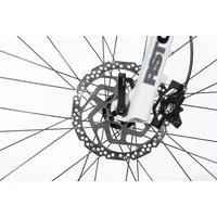 Bild 5/6 - SIRMIUM PRO DEORE 10