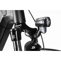 Obraz % s -ALBOIN CURVE MAN XT 10