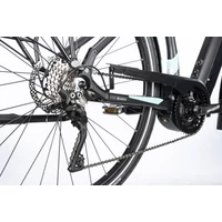 Obraz % s -ALBOIN CURVE MAN XT 10