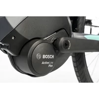 Picture 6/6 -BONUM EDGE  NEXUS 8 wh: 26"