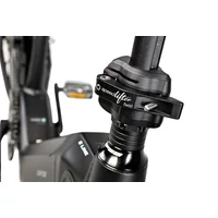 Obraz % s -PUGIO NEXUS 8