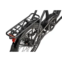 Obraz % s -PUGIO NEXUS 8