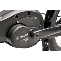 Obraz % s -PUGIO NEXUS 8