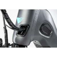 Picture 4/5 -BONUM EDGE NEXUS 8