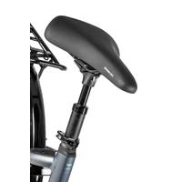 Obraz % s -BONUM EDGE NEXUS 8