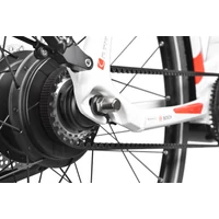 Obraz % s -BONUM PRO W ENVIOLO GATES
