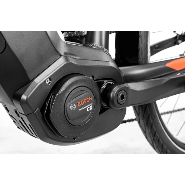 ALBOIN PRO Man XT 12