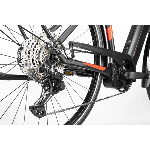 ALBOIN PRO Man XT 12