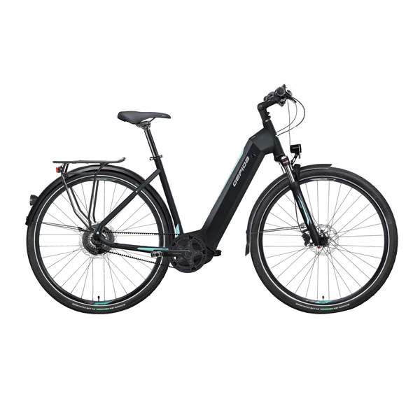 BONUM PRO W10S