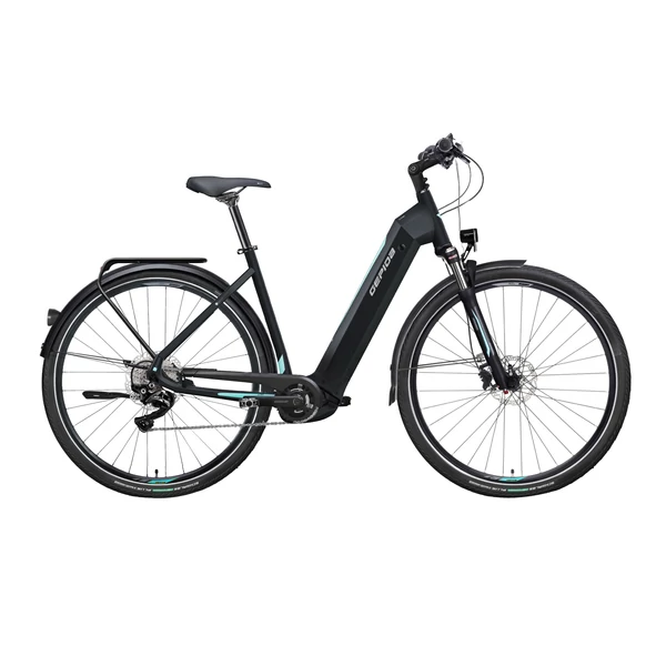 BONUM PRO W10S